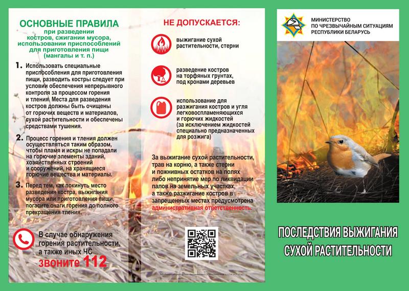 4. Буклет Последствия выжигания сухой растительности_page-0001